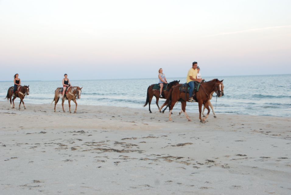 🐴 Agadir: passeggiate a cavallo su spiagge e ranch