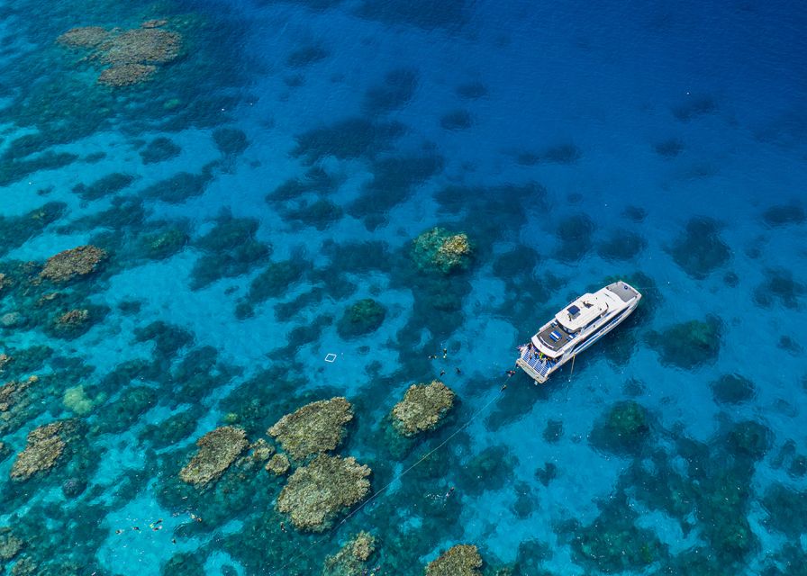 🤿 Snorkeling et plongée dans la Grande Barrière de Corail