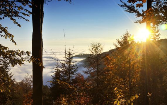 Le parc de Medvednica en hiver