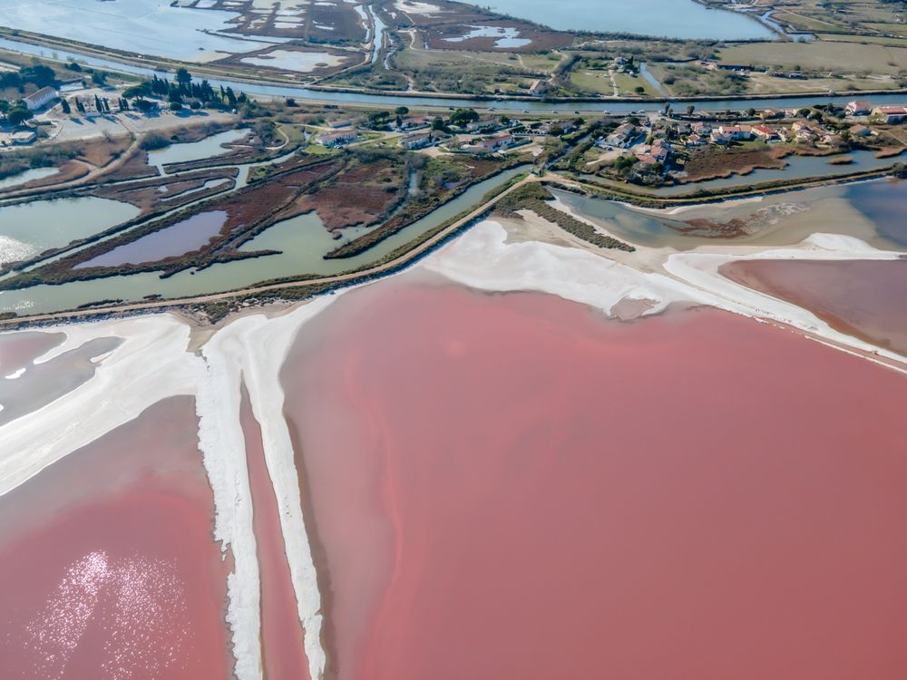 Visitez les trésors de la Camargue