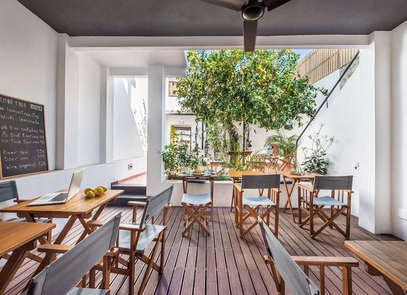 Lemon Tree Stay 