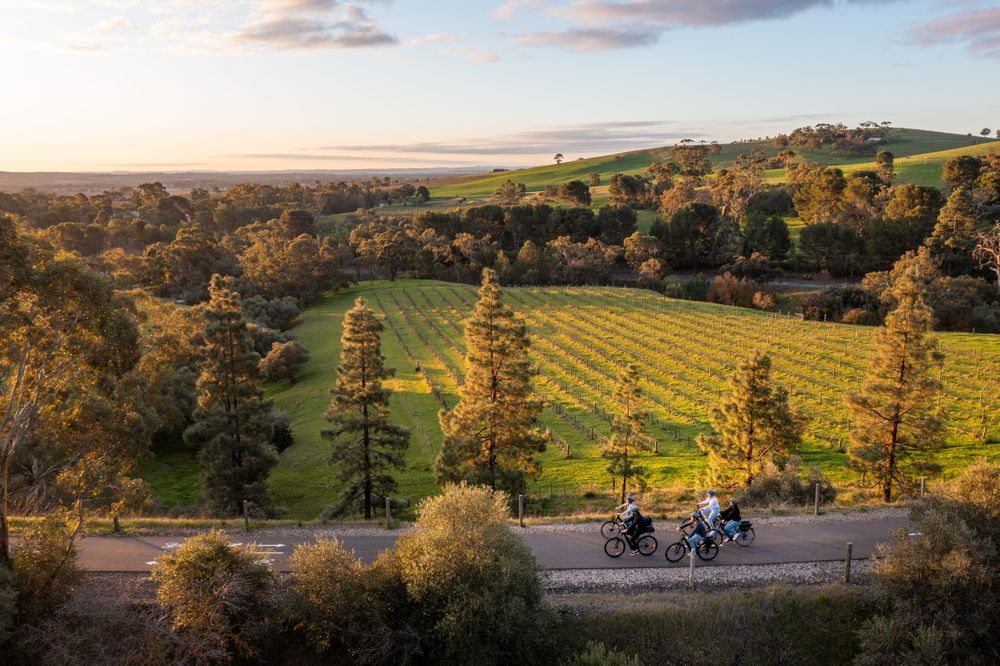 Durant votre séjour en Working Holiday Visa en Australie, découvrez les saveurs locales lors d’un road trip de 4 jours le long du Epicurean Way !