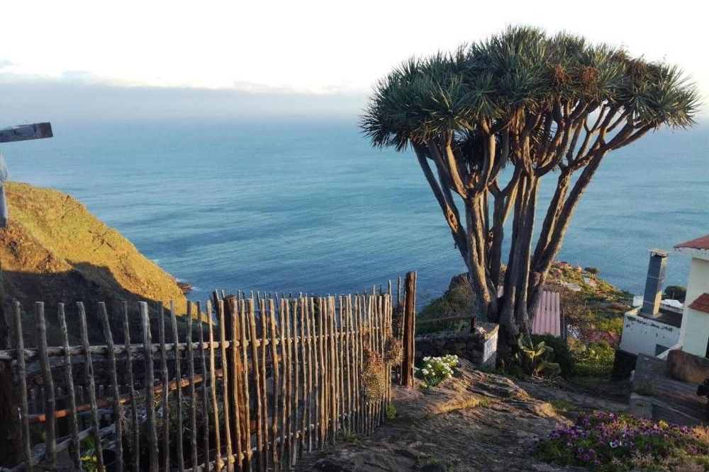 Casas las Gemelas - La Palma