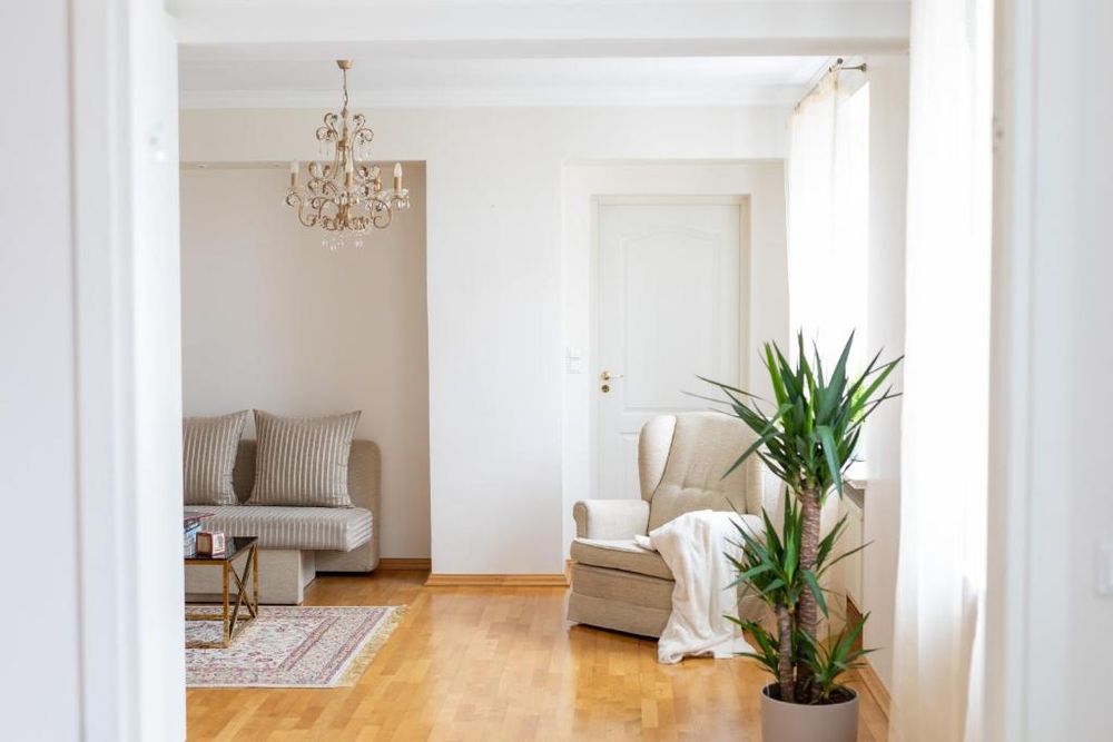 Culture apartment tartu