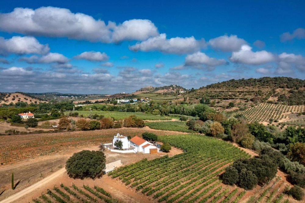 Apartamento Alicante