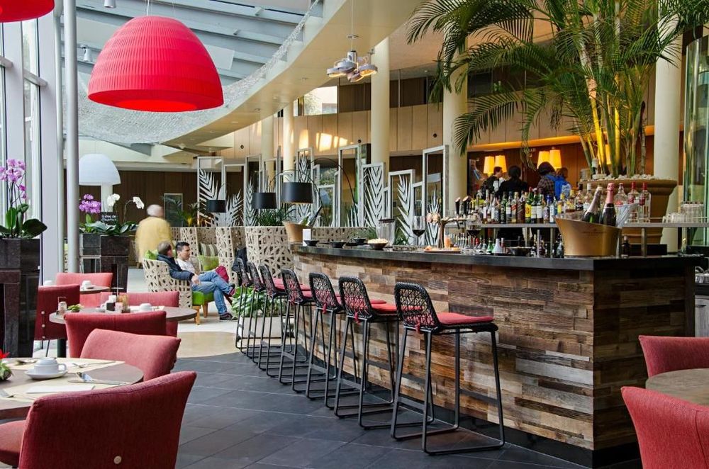 Alpha-Palmen by Fassbind