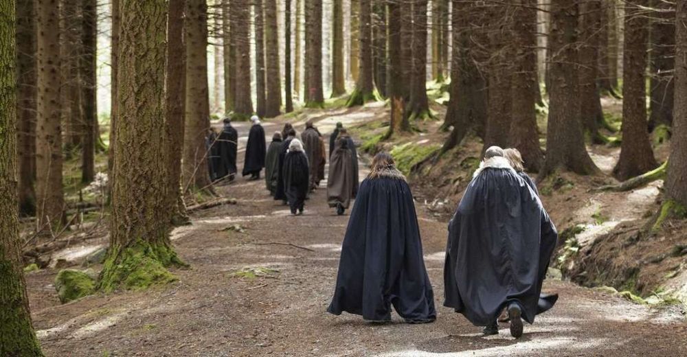 Paseo por el bosque de Tollymore - Belfast