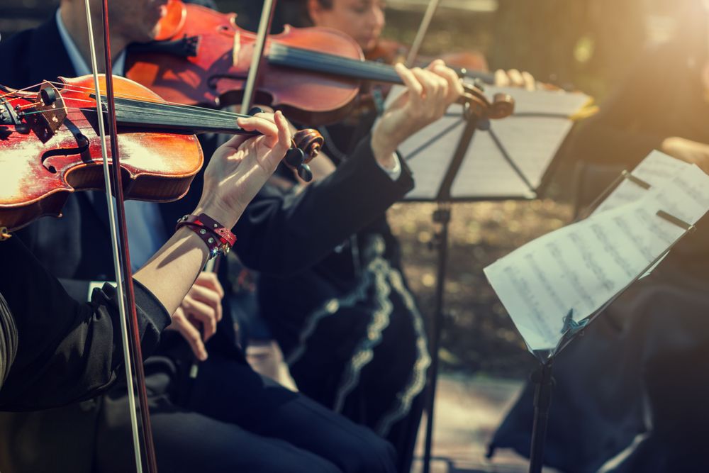 Basilica di Santo Stefano: concerto di organo