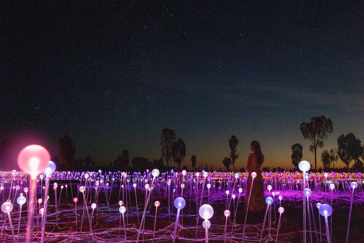 Field of Light de Bruce Munro, 50 000 leds alimentés par la lumière solaire