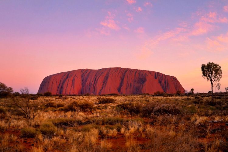 Les couleurs chaudes d’Uluru en fin de journée