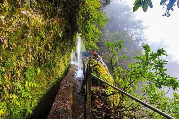 Levada et chute d’eau au cœur de Madère