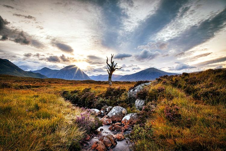 La région sauvage de Rannoch Moor