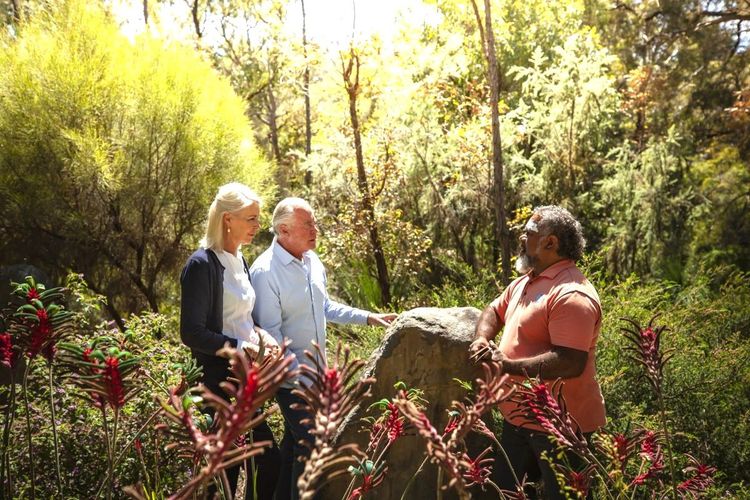 Kings Park et Jardin Botanique