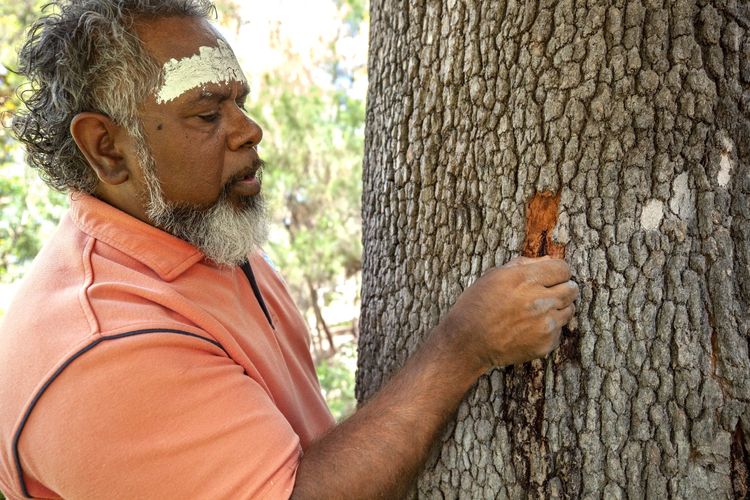 A Kings Park, Cultural Aboriginal Tours and Experiences en compagnie d’un représentant de la nation Noongar qui informe sur la culture aborigène.