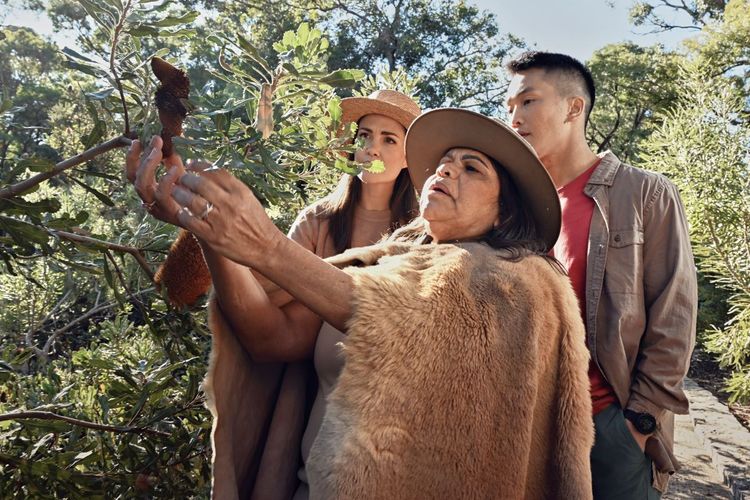 Visites culturelles autochtones de Kings Park, Nyungar Tours