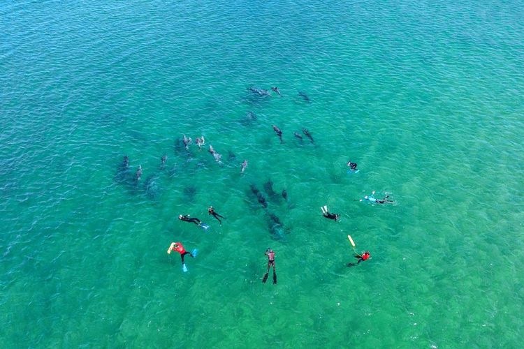 Centre de découverte des dauphins de Bunbury