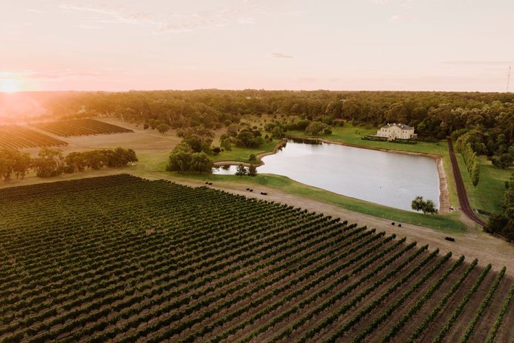 Vignobles de l’ouest australien