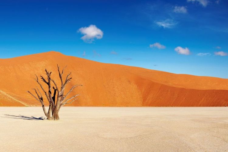 Désert du Namib en Namibie - © muha/123RF