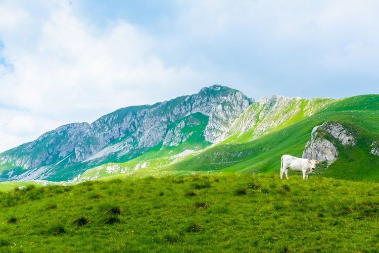 Parc national de Triglav, Slovenie © lightfieldstudios/123RF