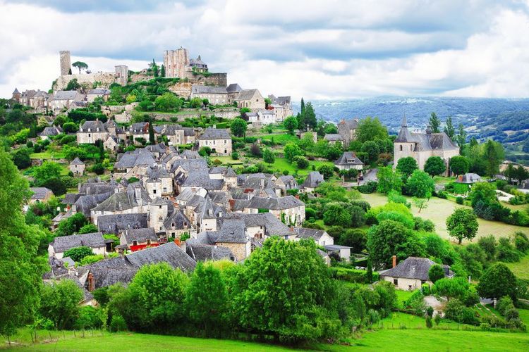 Limousin © freeartist/123RF