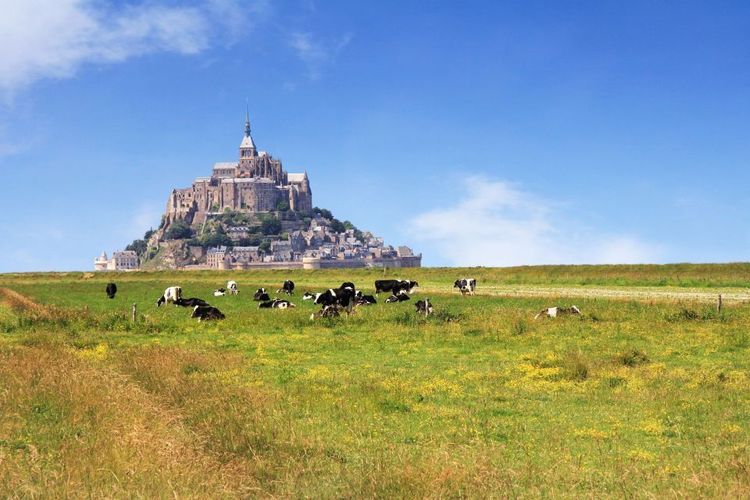 La baie du Mont-Saint-Michel en Normandie © smuki/123RF