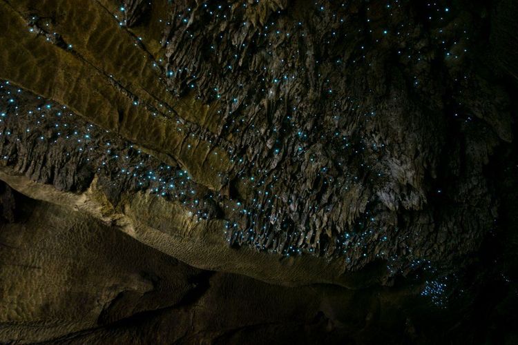 La grotte de Waitomo en Nouvelle-Zélande - © Klanarong Chitmung/123RF