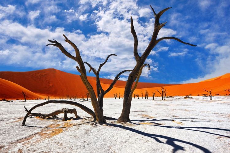 Deadvlei © Oleg Znamenskiy / 123RF