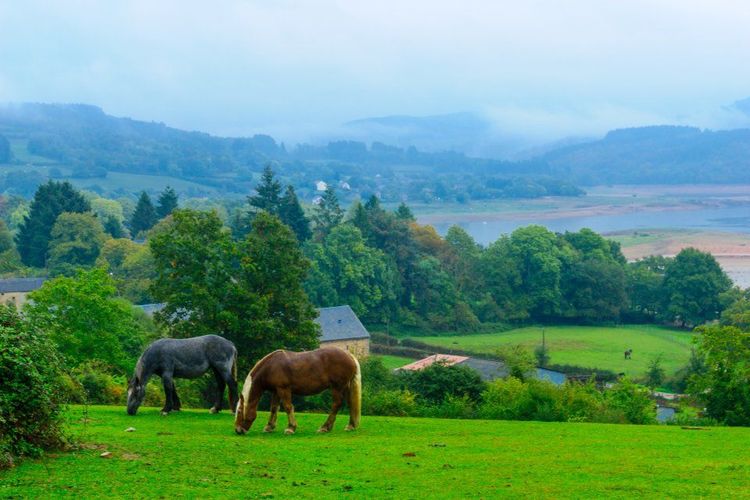 Le parc naturel régional du Morvan en Bourgogne © Ran Dembo/123RF