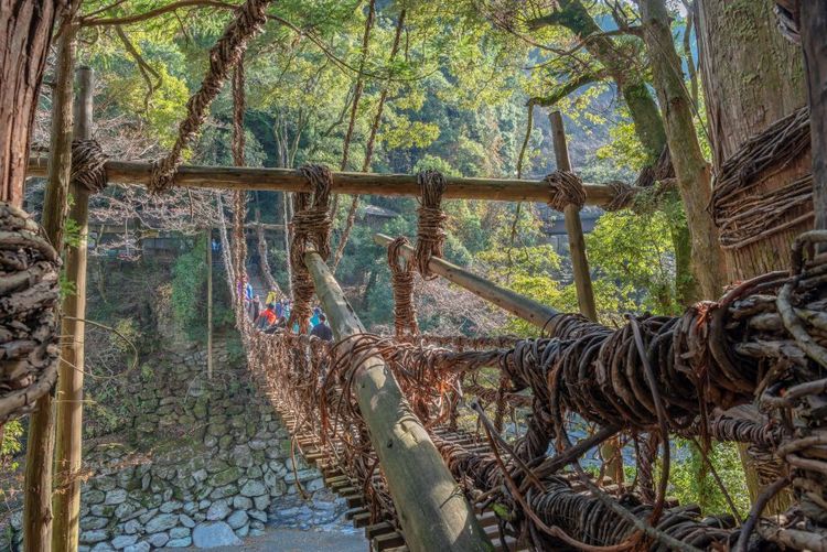 Le pont suspendu de Kazura dans la vallée d'Iya © Taira Masao / 123RF