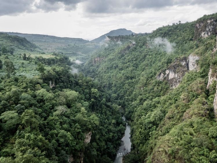 La jungle de Kachin en Birmanie ©Patrick Goersch/123RF