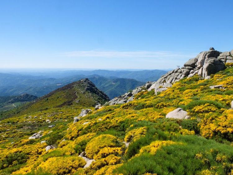 Les Cévennes en Occitanie, France © fafojp / 123rf