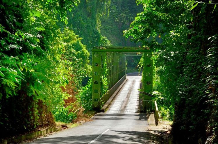 Pont de Grand Rivière, Martinique © Philippe Halle/123rf