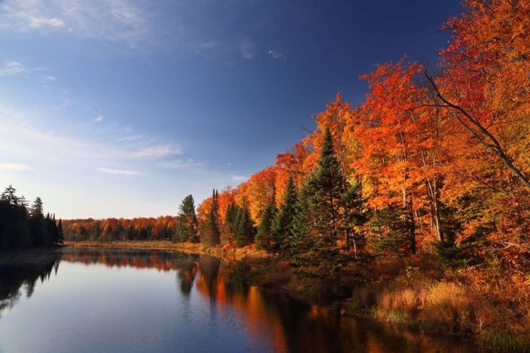 Une forêt aux couleurs de l'automne, Canada © Roman barisev / 123rf