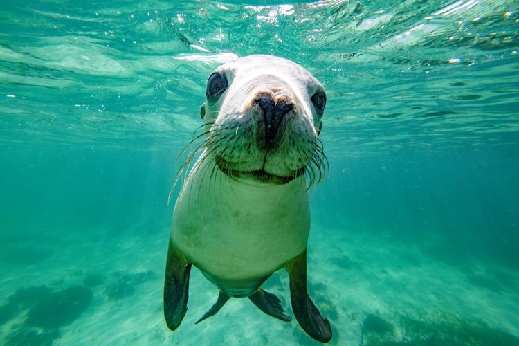 à Jurien Bay