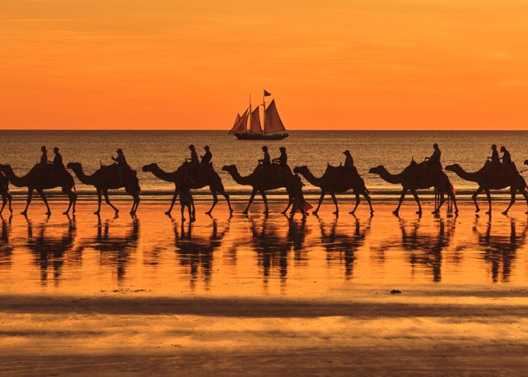 Méharée à Cable Beach, sur la plage, le soir