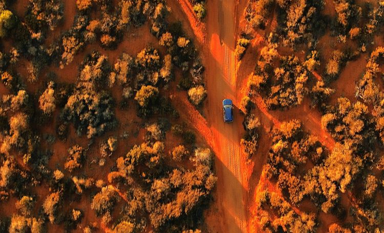 Steppes typiques rougeoyantes de l'outback (ici en marge de Shark Bay)