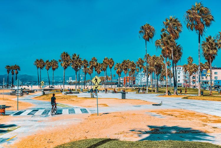 Venice Beach et ses pistes cyclables et de skate