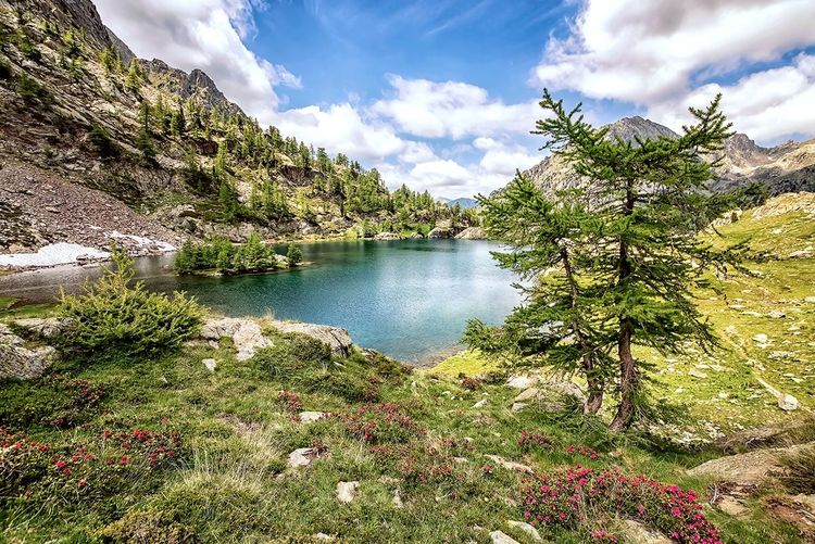 Un des lacs de la vallée, Mercantour