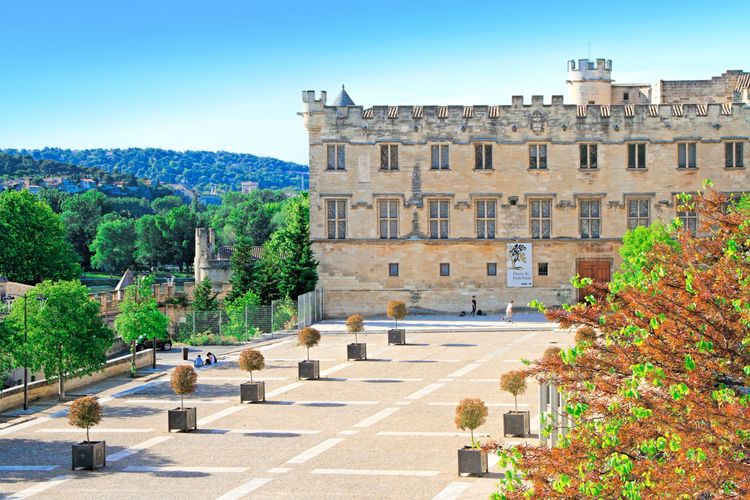 I musei di Avignone, sulle tracce della Provenza al tempo dei Papi