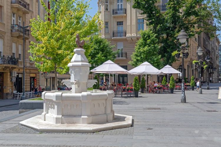 La rue Strahinjica Bana commence près de la rue Tadeuša Košćuška (à côté du parc de Kalemegdan) et se termine à l'intersection avec la rue Džordža Vašingtona (près du marché de Skadarlija). Au fond, la Café Rooster.