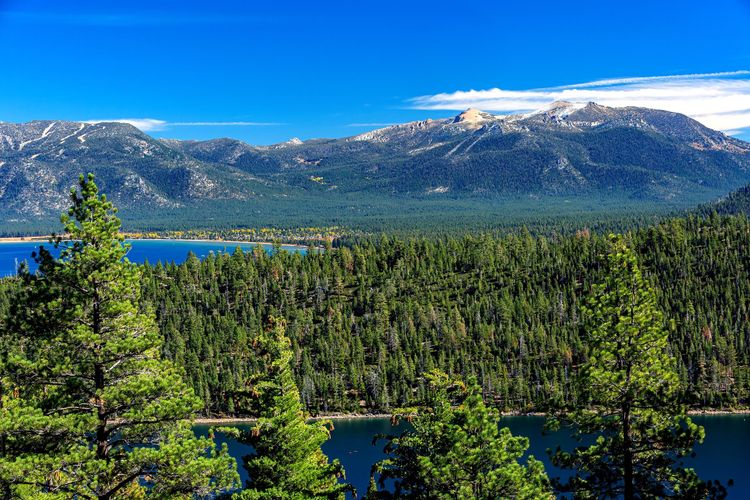 Walking in the footsteps of the Washoes Indians