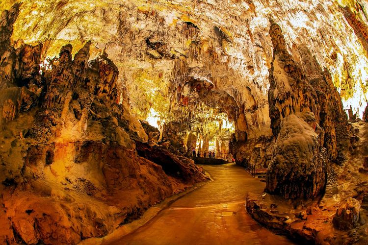 La grotte de Postojna