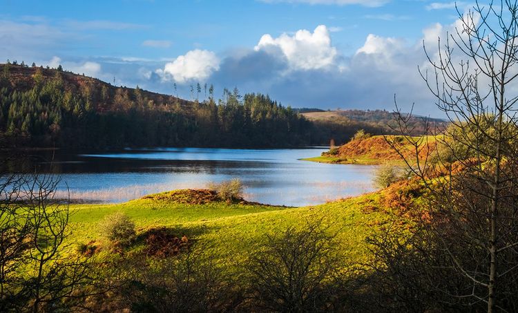Parc forestier de Galloway, Ecosse