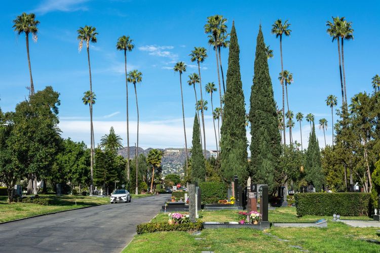 Le Hollywood Forever Cemetery, le cimetière des stars