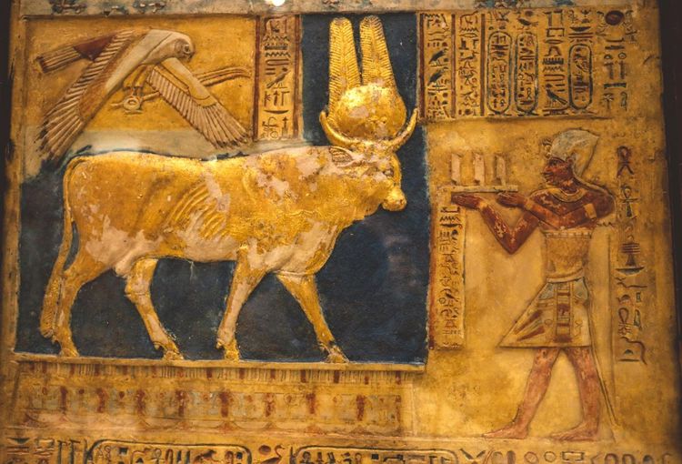 Un voyage au cœur de l'Égypte antique : le Musée Égyptien du Caire et le NMEC