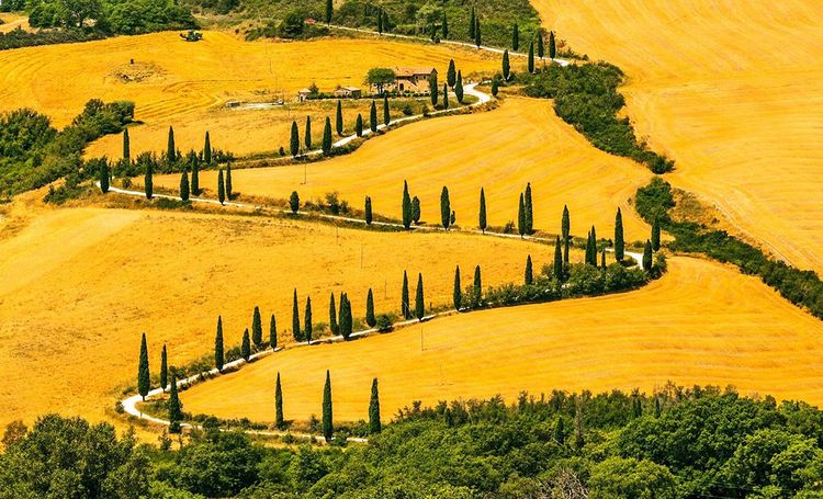 Le Val d'Orcia offre quelques-uns des paysages les plus iconiques de Toscane