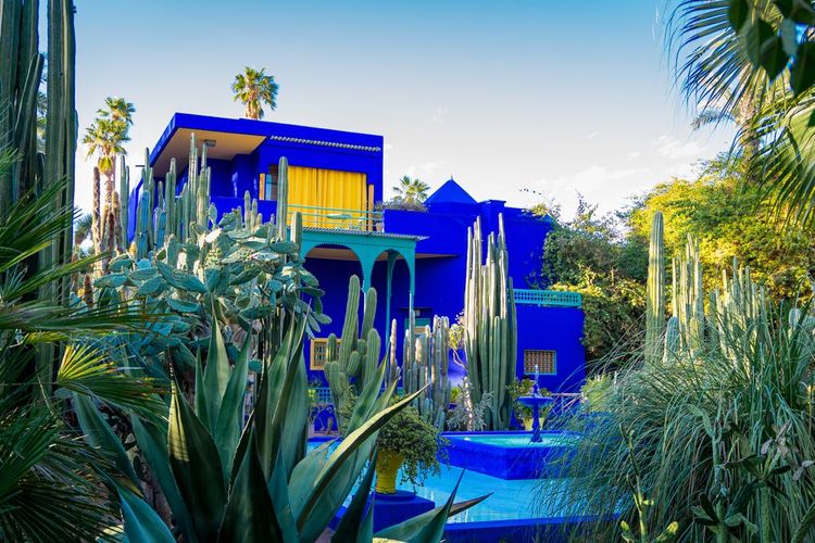 The Majorelle Garden, an infinitely blue Eden