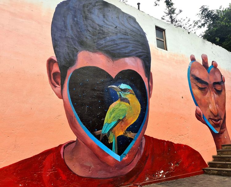 Street art by Jade Riveira in Lima