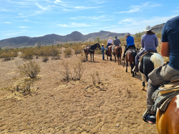 Une balade à cheval vers les montagnes du désert de Sonora