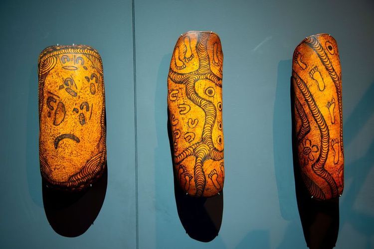 Cornes creuses aborigènes